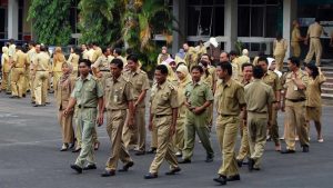 PNS